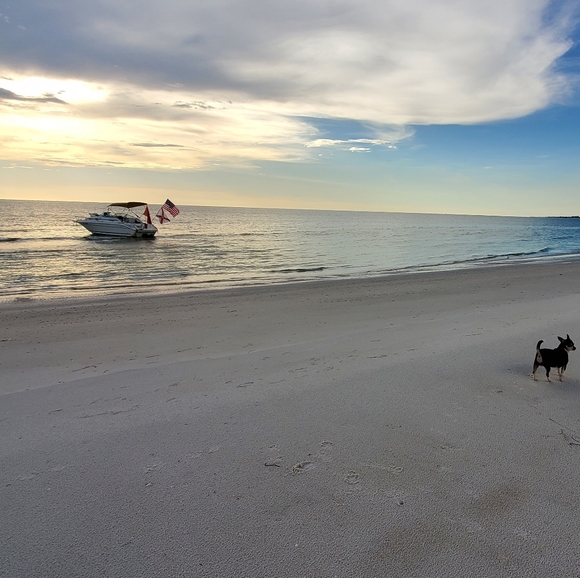 Meet your Posher, Carrie - Picture 3 of 5